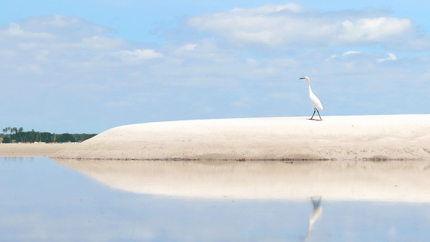 diferenciais_0007_praia